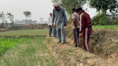 Labourers at work Stock Footage 324514103