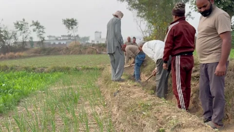 Labourers at work Stock Footage 324514210