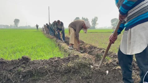 Labourers at work Stock Footage 324514225