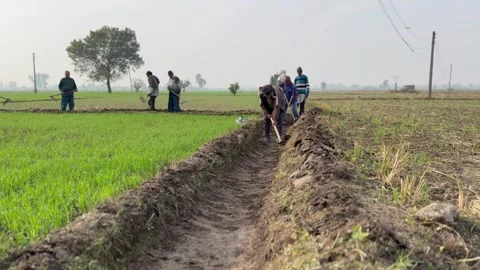 Labourers at work Stock Footage 324514234