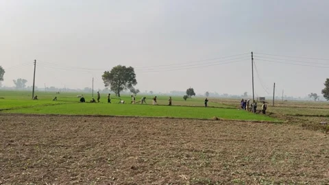 Labourers at work Stock Footage 324514263