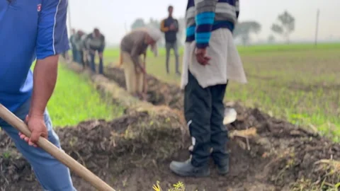 Labourers at work Video stock 324514291