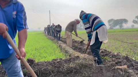 Labourers at work Stock Footage 324514358