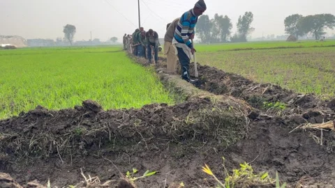 Labourers at work Stock Footage 324514362