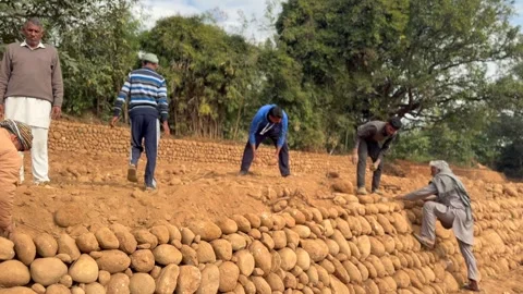 Labourers at work Stock Footage 324514372