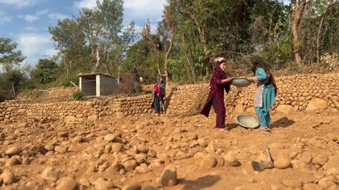 Labourers at work Stock Footage 324514403