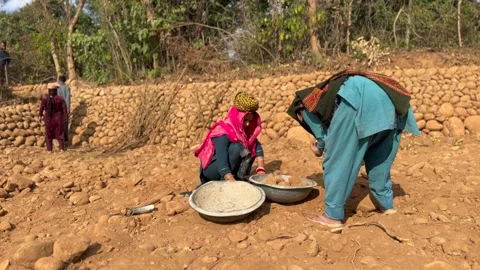 Labourers at work Stock Footage 324514551