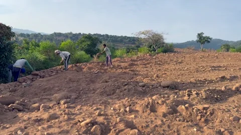 Labourers at work Stock Footage 324514678