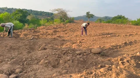 Labourers at work Stock Footage 324514821
