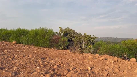 Labourers at work Stock Footage 324514827