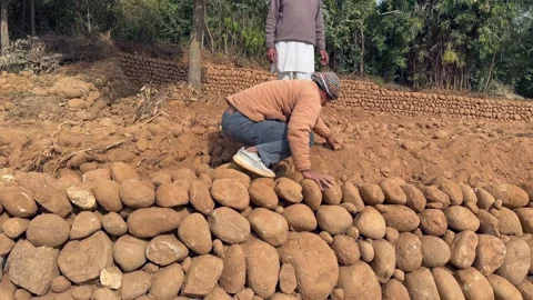 Labourers at work Stock Footage 324514915