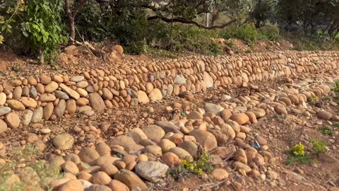 Labourers at work Stock Footage 324514944