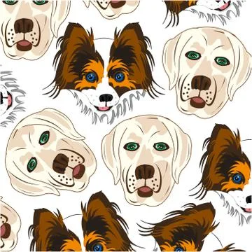 Labrador and papillon pattern on white background is insulated Stock Illustration