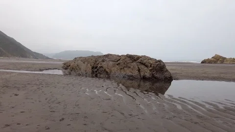 Labrador chocolate playing in a beach puddle on a cloudy day. slow motion Stock Footage 126646140