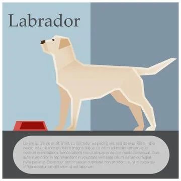 Labrador colourful postcard Stock Illustration