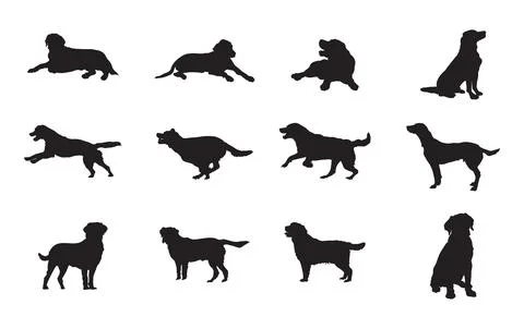 Labrador Dog Collection Stock Illustration