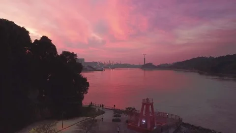 Labrador Park 1 Stock Footage 245096105