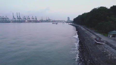 Labrador Park 4 Stock Footage 246097854