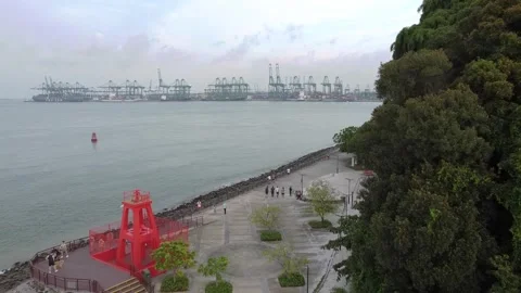 Labrador Park 5 Stock Footage 246097887