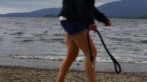 Labrador playing in water while owners walk along Loch Lomond in Scotland Stock Footage 342179063