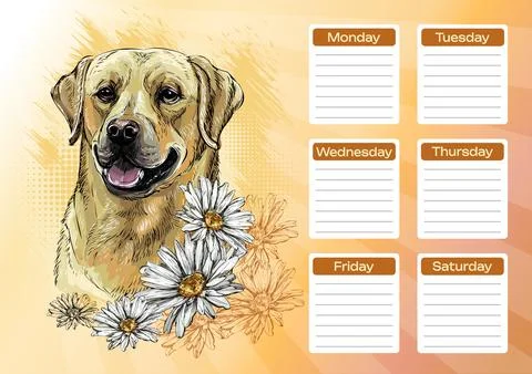 Labrador printable planner and school schedule vector Stock Illustration