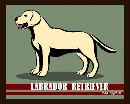 Labrador Retriever dog vector eps 10 Stock Illustration