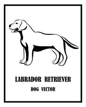 Labrador Retriever dog vector eps 10 Stock Illustration