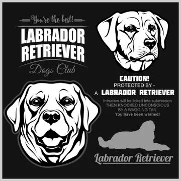 Labrador Retriever Dog - vector set on black. Stock Illustration