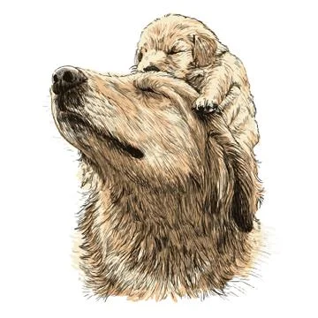 Labrador retriever 스톡 일러스트
