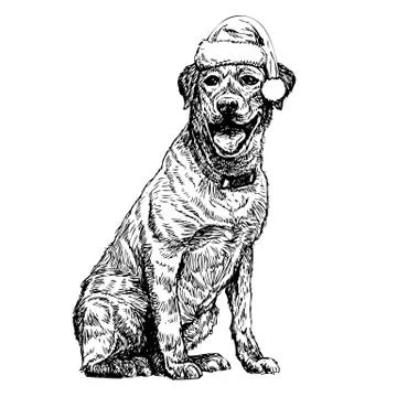 Labrador Retriever 스톡 일러스트