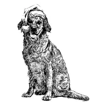 Labrador Retriever Stock Illustration