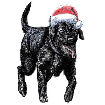 Labrador Retriever 스톡 일러스트