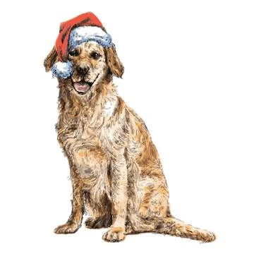 Labrador Retriever 스톡 일러스트