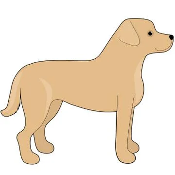 Labrador Retriever Stock Illustration