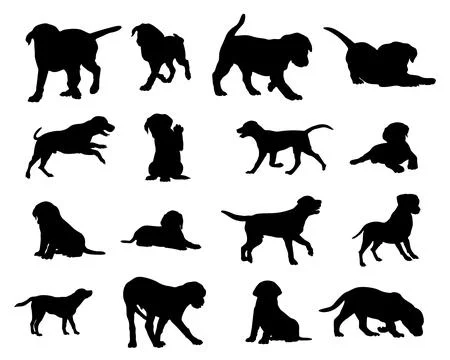 Labrador retriever silhouettes, Labrador retriever animal silhouette Stock Illustration