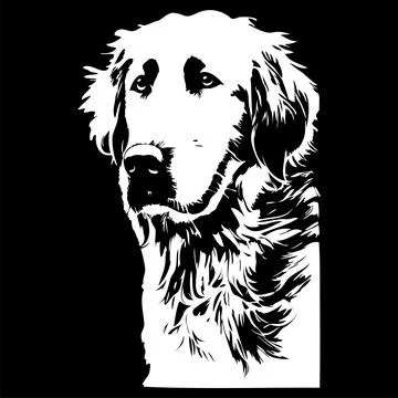 Labrador retriever vector hand drawn vector black and white Stock Illustration