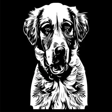 Labrador retriever vector image hand drawn vector black and white Stock Illustration