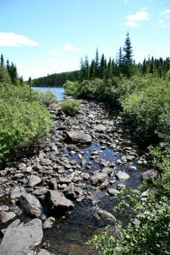 Labrador river Stock Photos