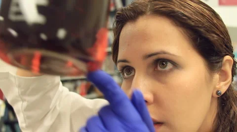 Labtech checking media 2 - WB 스톡 동영상 880160