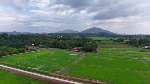 Labuh Banting aerial rice fields and distant hills panorama Stock-Footage 332187378
