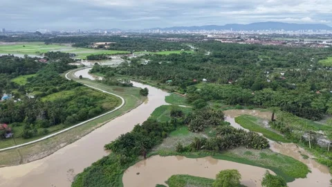 Labuh Banting River Green Floodplain and Rice Fields Vídeo Stock 329350862