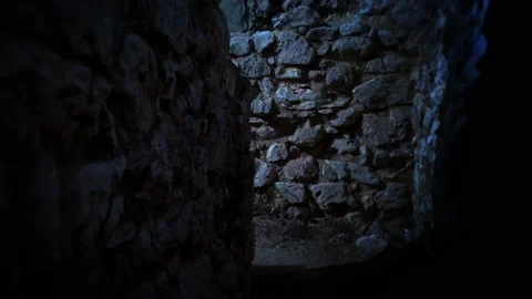 LABYRINT CORRIDOR Stock Footage 163138895