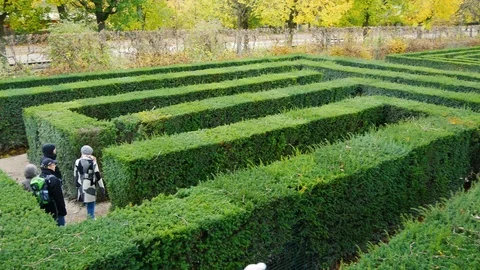 Labyrinth bush in garden Stock Footage 94143154