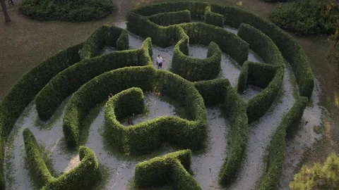 Labyrinth Stock Footage 151887172