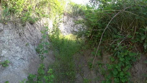 Labyrinth Looking Green Area From Handheld Camera Stock Footage 109351395