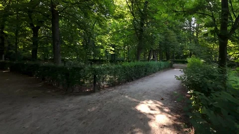 Labyrinth of paths between large trees in the Retiro Park, Madrid Stock Footage 336891993