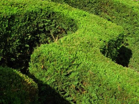 Labyrinth Stock Photos