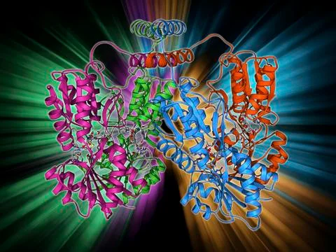 LAC repressor molecule Stock Illustration