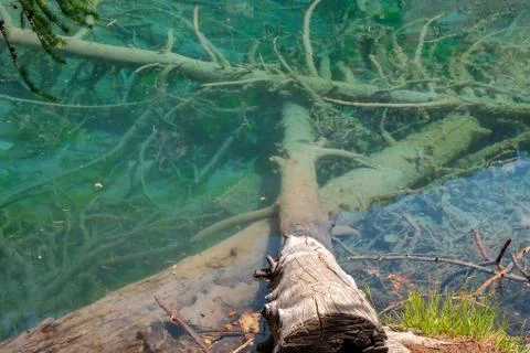 Lac Vert Stock Photos