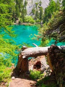 Lac Vert Stock Photos